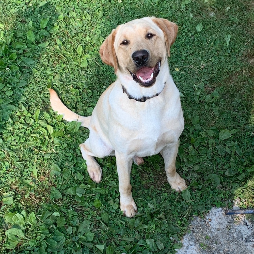 Meet your Posher, Lindsey